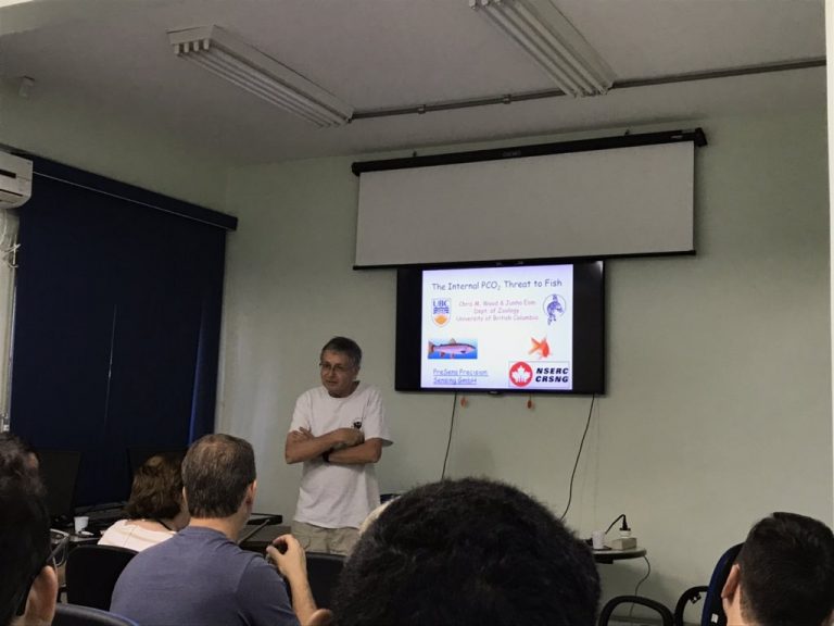 Pesquisadores estudam o funcionamento da passagem de PCO2 no trato digestivo em peixes