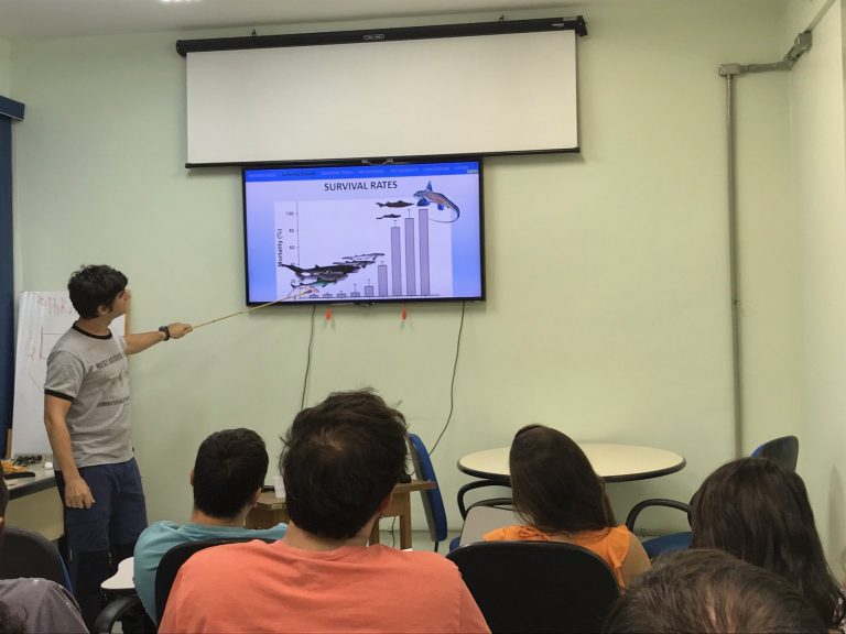 Cientistas da Universidade de Cadiz estudam a taxa de estresse agudo em tubarões